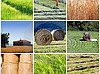 TARIM BAKANLIĞI AR-GE DESTEKLERİ