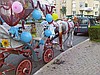 ANTALYA DÜĞÜN  MEKAN TEMİNİ  FASHİONS DÜĞÜN ORGANİZASYON