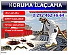 Böcek, böcek ilaçlama, hamamböceği, haşere ilaçlama servisi, ilaçlama firması, ilaçlama şirketi, pir