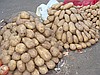 PATATES TOHUMLUĞU HERMEST,JELLY,AGRİYA