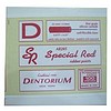 DENTARIUM LASTIK