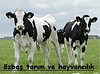 ÖZBAŞ TARIM VE HAYVANCILIK canlı hayvan alım satım tic.