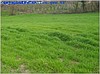 SATILIK TARLA ARSA ARAZİ KAYNARCA SAKARYA 2750M2/ HAZER EMLAK