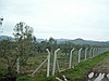 Dikilide satılık zeytinlik
