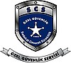 Özel Güvenlik Hizmetleri
