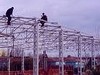 Çatıcı çatı giydirme çatı tadilat ve tamirat olok izolasyonu 02166391184