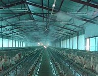 KÜÇÜKBAŞ HAYVAN ÇİFTLİKLERİNDE SİSLEME-NEMLENDİRME ve SERİNLETME SİSTEMLERİ