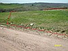 KANDIRA SATILIK ARAZI ARSA KACMAZ EMLAK