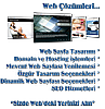 WEB TASARIM