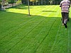 RULO ÇİM uygulamalı m2 14 TL ÇİM TOHUMU m2 8 TL