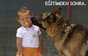 Köpek eğitimi köpek pansiyonu av köpekleri eğitimi rottweiler kulübü