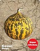 Kavun Süper Altınbaş erkenci
