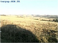 KİRALIK HAYVAN ÇİFTLİGİ İÇİN ARAZİ HAZER EMLAK