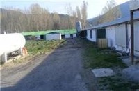 SATILIK 50 BİNLİK TAVUK ÇİFTLİGİ HAZER EMLAK