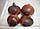 A1A1 GEBZE TARIM İLAÇLARI 02626468815 FUNGUSİTLER İNSEKTİSİTLER HERBİSİTLER İLAÇ BAYİİ ÇINAR TARIM