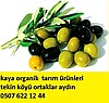 Kaya organik  tarım işletmesi