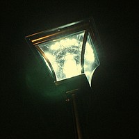 PIR Sensörlü Solar Bahçe Aydınlatma (29 LED) SBAHCEF-02
