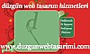 WEB TASARIM