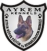 AYDIN KÖPEK EĞİTİM VE REHABİLİTASYON MERKEZİ