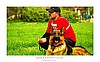 ALMAN ÇOBAN KÖPEĞİ ÜRETİM ÇİFLİĞİ