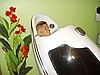 Ozon sauna