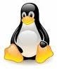 Linux1 100 Mb Alan 3000 Mb Trafik Limitsiz Mail Limitsiz Sub Domain DirectAdmin - Linux