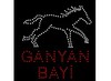 GANYAN BAYİ LED TABELA