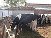 NEJAT ÜRETİM MERKEZİ