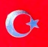 Türk Ayyıldız Rozet