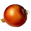 Soğan Banka Tohumu — 1 kg