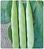 Fasulye Oturak (Simbo) Tohumu — 500 gr