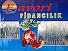 Nar fidanı