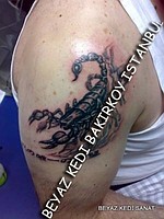 Dövme tattoo modelleri Dövme resimleri Dövme katalogları