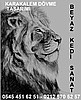 Dünyanın en iyi dövmecileri ressam dövmecilerdir.