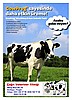 Cowpreg Büyükbaş Erken Gebelik Testi