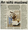 Arı sütü