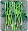 Tatlı Sivri Kıl Biber Tohumu — 500 gr