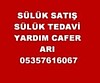 Sülük satışı,steril sülük