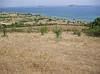 GAYRİMENKUL