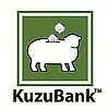 Hayvancılıkta Çığır Açan Proje: KuzuBank™