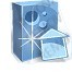 Web Tasarımı (Standart Paket)