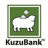 KuzuBank™ hakkında sıkça sorulan sorular