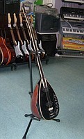 ELEKTRO BAĞLAMA ARDIÇ