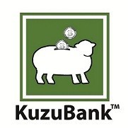 Nasıl faizsiz kazanç sağlarsınız?