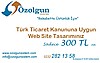 Web Site Tasarımı