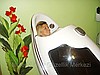 Ozon Sauna