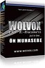 AKINSOFT Wolvox ERP  Muhasebe