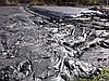 FLYASH