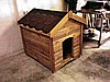 KÖPEK KULÜBESİ 275 TL!!!