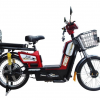E bike